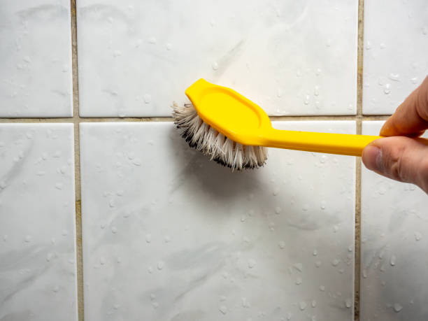 Best Attic Mold Removal  in Darlington, SC