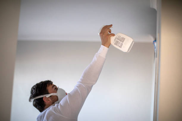 Best Mold Testing  in Darlington, SC