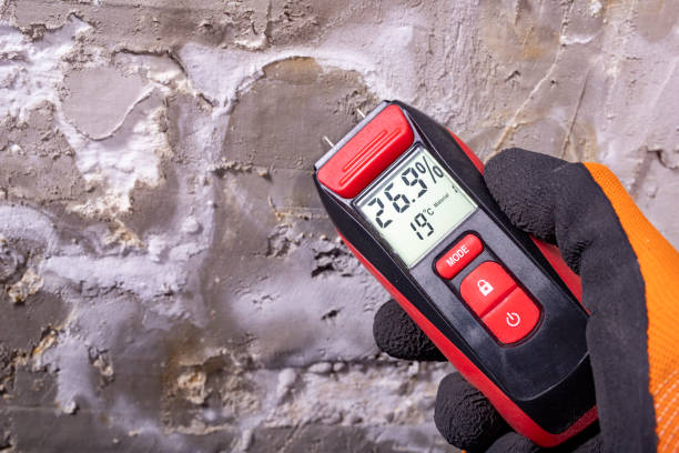 Attic Mold Removal in Darlington, SC